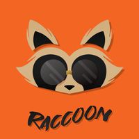 Raccoon Cover art